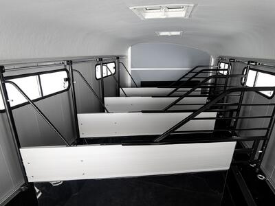 Cheval Liberté Islandic Schwarz