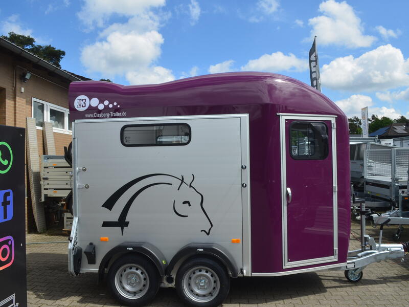 Cheval Liberte Gold 3 Violet