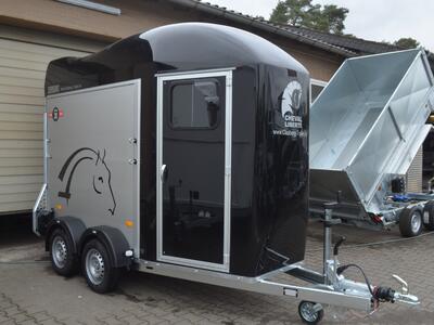 Cheval Liberte Gold One Origins Schwarz