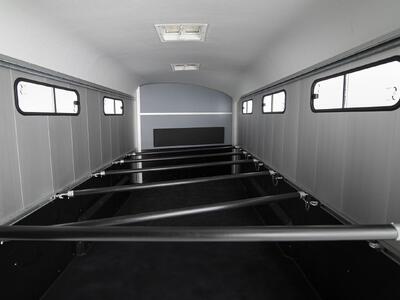 Cheval Liberté Islandic Schwarz