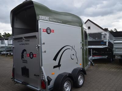 Cheval Liberte Gold one Origins Olivgrün