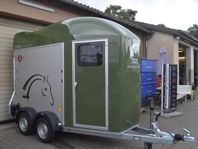 Cheval Liberte Gold one Origins Olivgrün