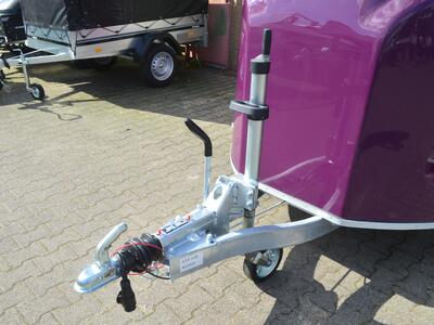 Debon Cargo 1300 Kg Violet