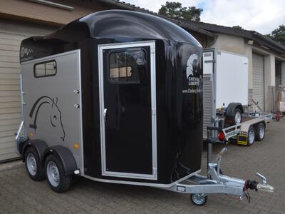 Cheval Liberte Gold III Schwarz