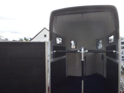 Cheval Liberté Gold 3 Violet